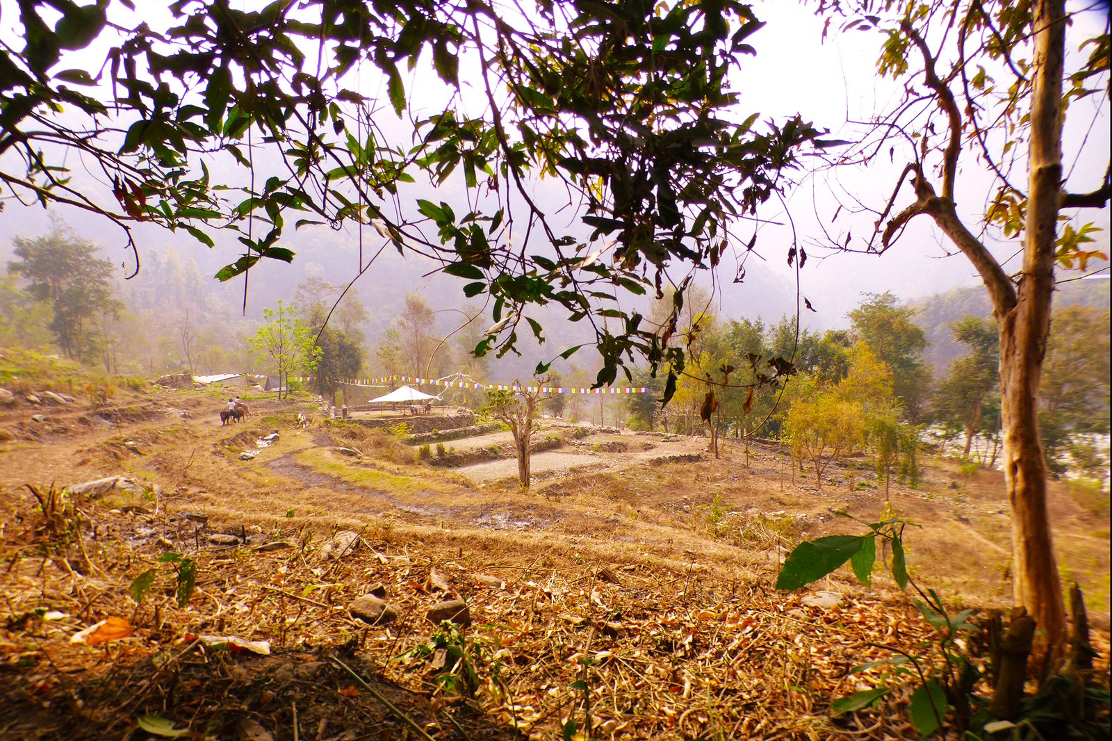 Gurung Valley