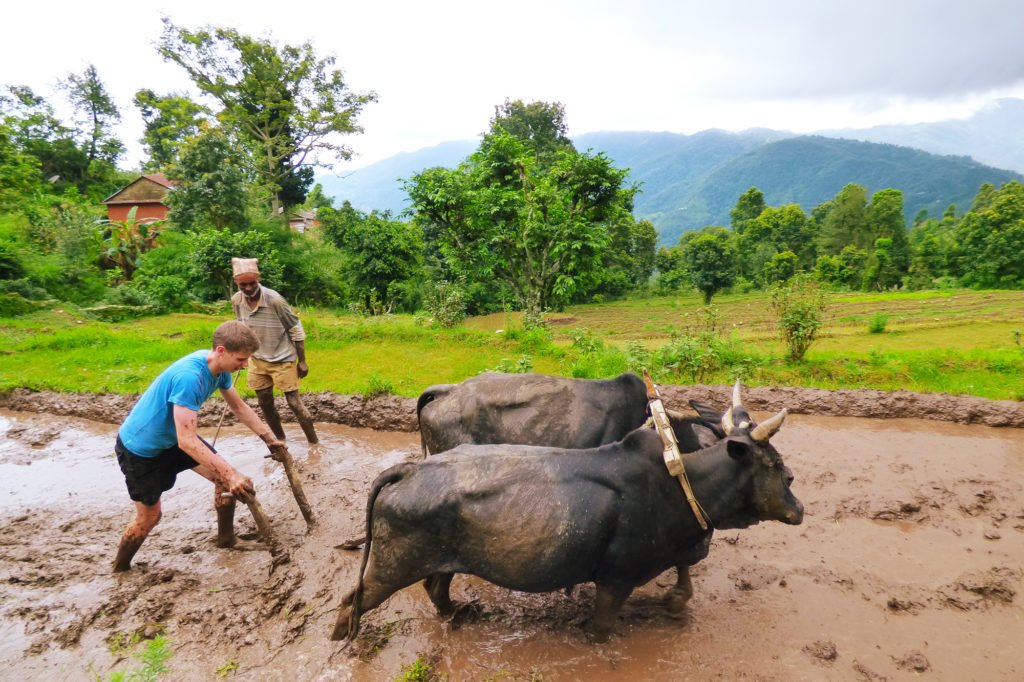 Farming in Nepal